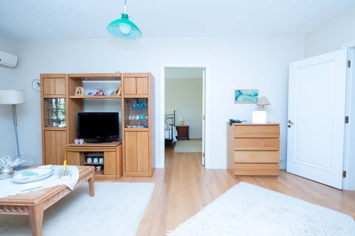 Lower level front-side living room