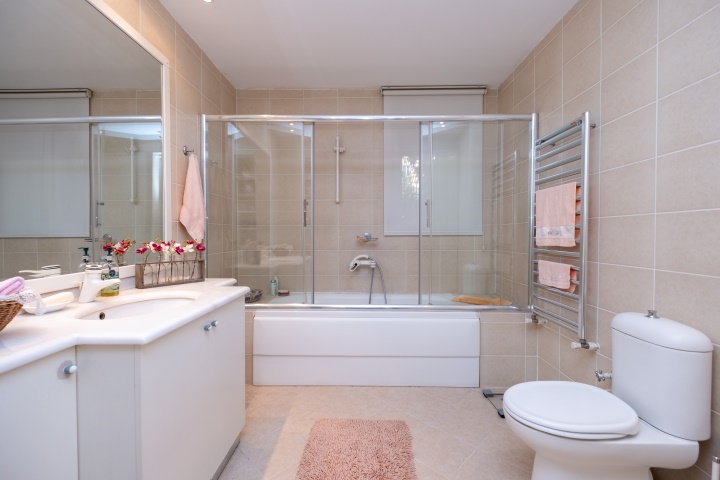 Lower level bathroom