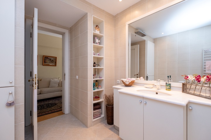 Lower level bathroom