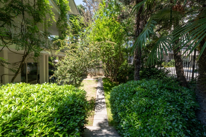 Front garden of the villa