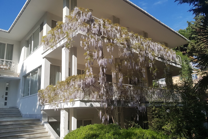 Front view in spring