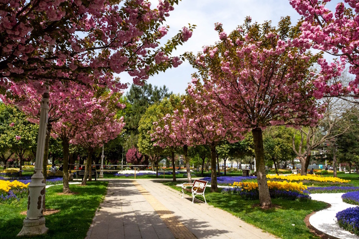 Göztepe Park in 100m distance to the north-west